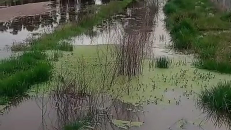Sobre llovido, embarrado: siguen las denuncias por incumplimientos en el barrio Don Luis