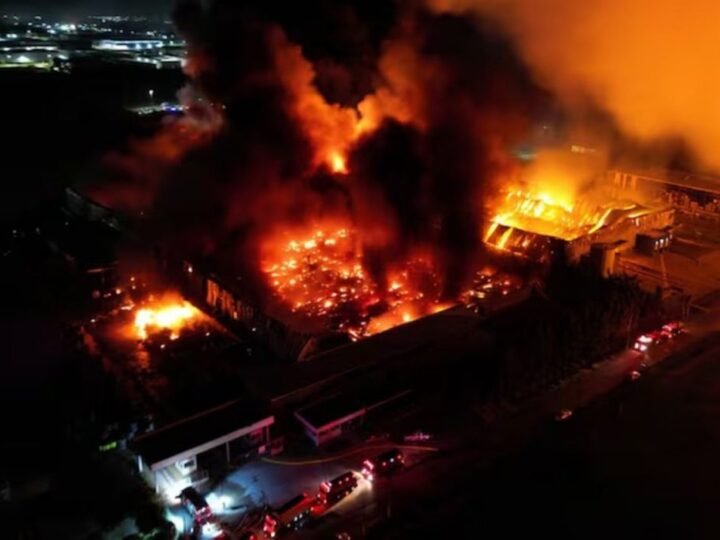 Pericias para entender el dantesco incendio de Spegazzini