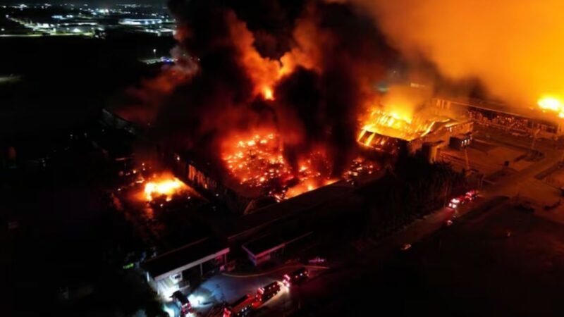 Pericias para entender el dantesco incendio de Spegazzini