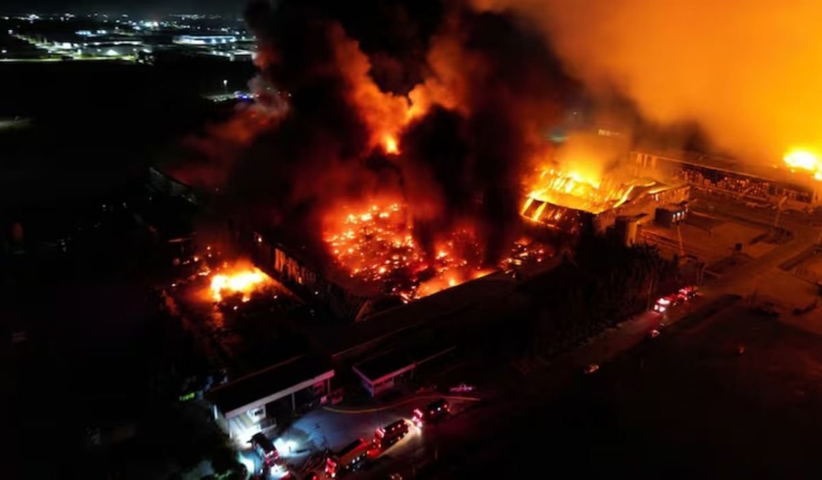 Pericias para entender el dantesco incendio de Spegazzini