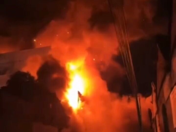 Los dueños de los perros que mataron a un nene podrían ir a la cárcel