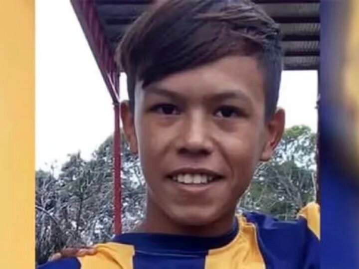 Los dueños de los perros que mataron a un nene podrían ir a la cárcel