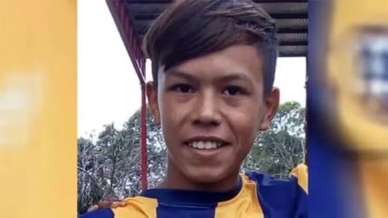 Los dueños de los perros que mataron a un nene podrían ir a la cárcel