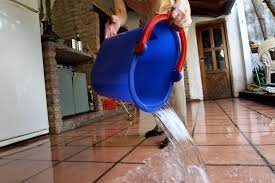 Anunciaron aumentos para el personal doméstico hasta mitad de año
