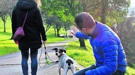 Salta: la justicia estableció una cuota alimentaria por una mascota&nbsp;