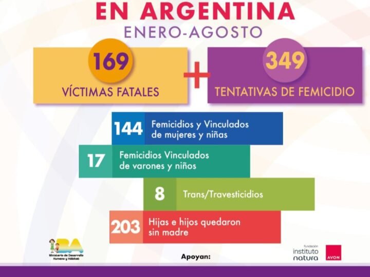 Entre enero y agosto hubo 169 femicidios en el país