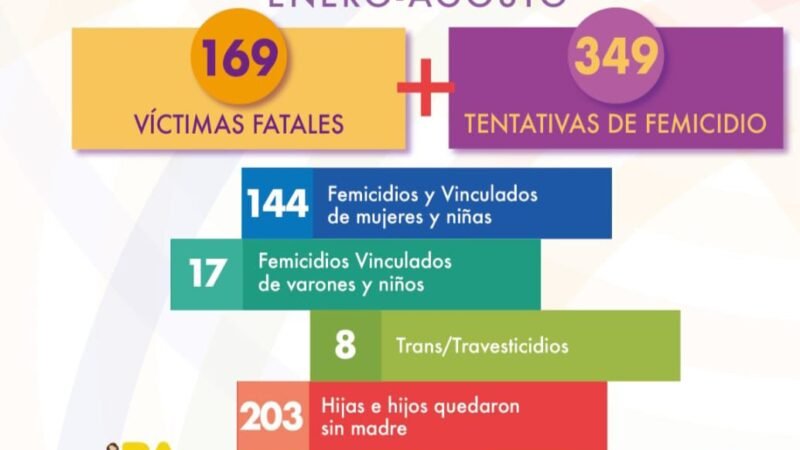 Entre enero y agosto hubo 169 femicidios en el país